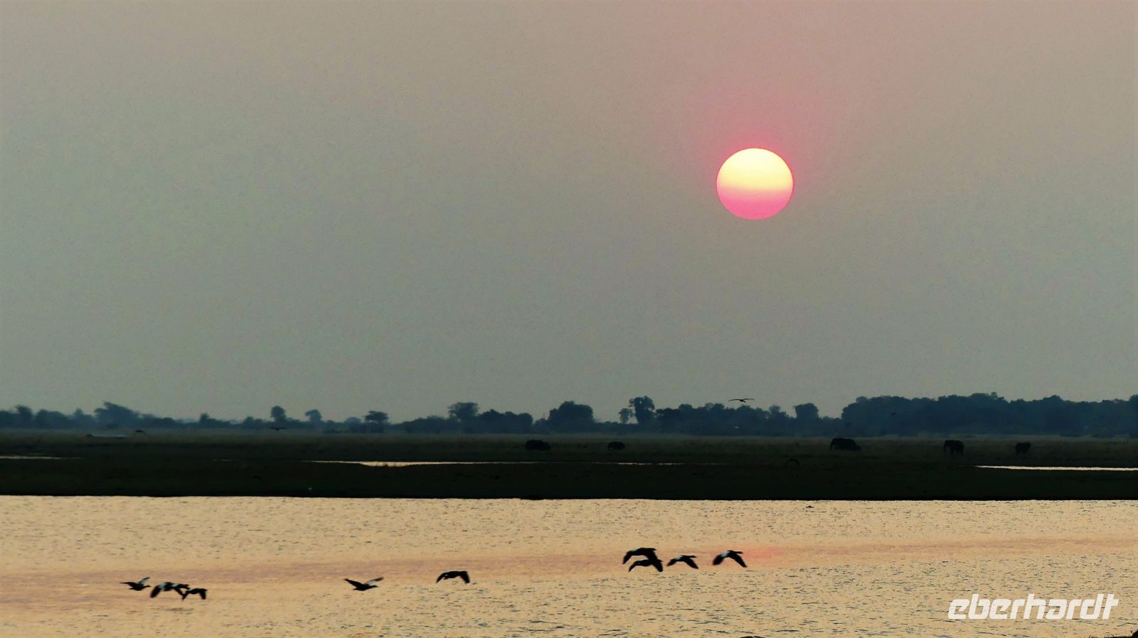Botswana - Bootsfahrt auf dem Chobe - Sonnenuntergang