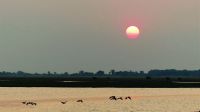 Botswana - Bootsfahrt auf dem Chobe - Sonnenuntergang