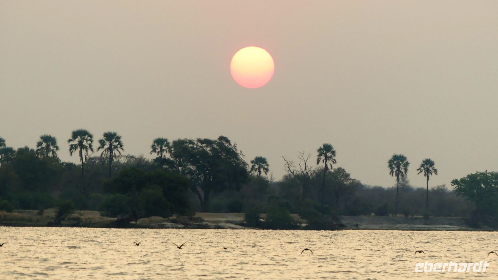 Simbabwe - Bootsfahrt auf dem Sambesi - Sonnenuntergang