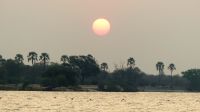 Simbabwe - Bootsfahrt auf dem Sambesi - Sonnenuntergang