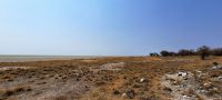 Namibia - Etosha Nationalpark - grenzenlose Weite