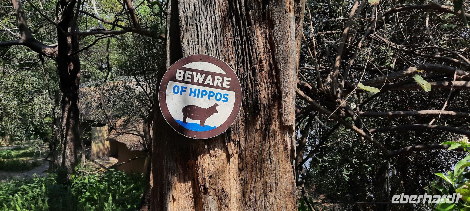 Namibia - Namushasha Lodge am Kwando