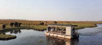 Botswana - Bootsfahrt auf dem Chobe