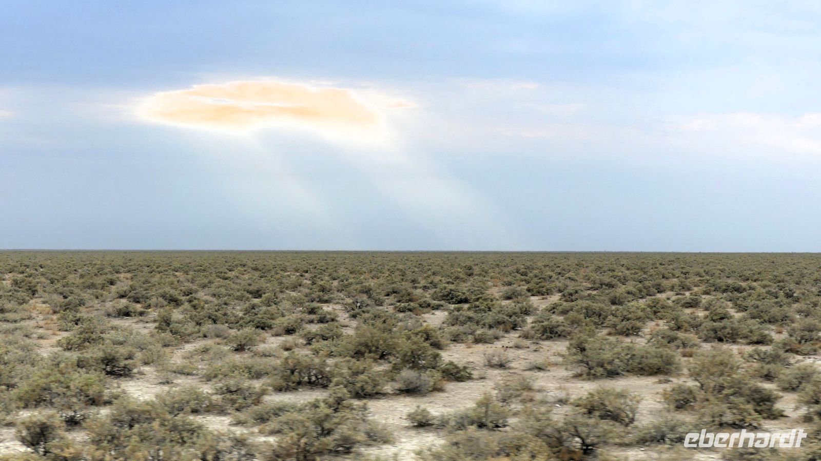 Namibia - Etosha Nationalpark