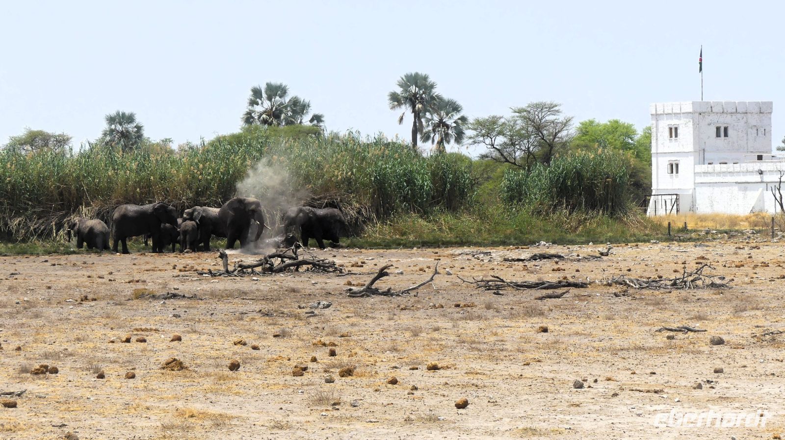 Namibia - Etosha Nationalpark - Elefanten am Camp Namutoni