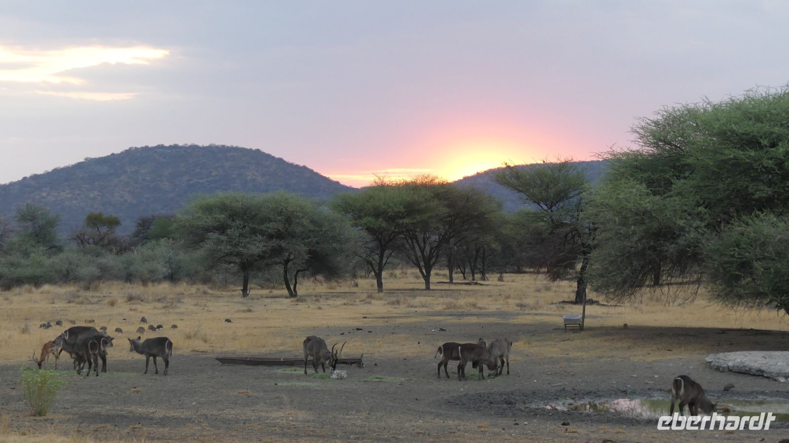Namibia - Gabus Game Ranch - Abenddämmerung