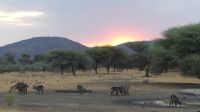 Namibia - Gabus Game Ranch - Abenddämmerung