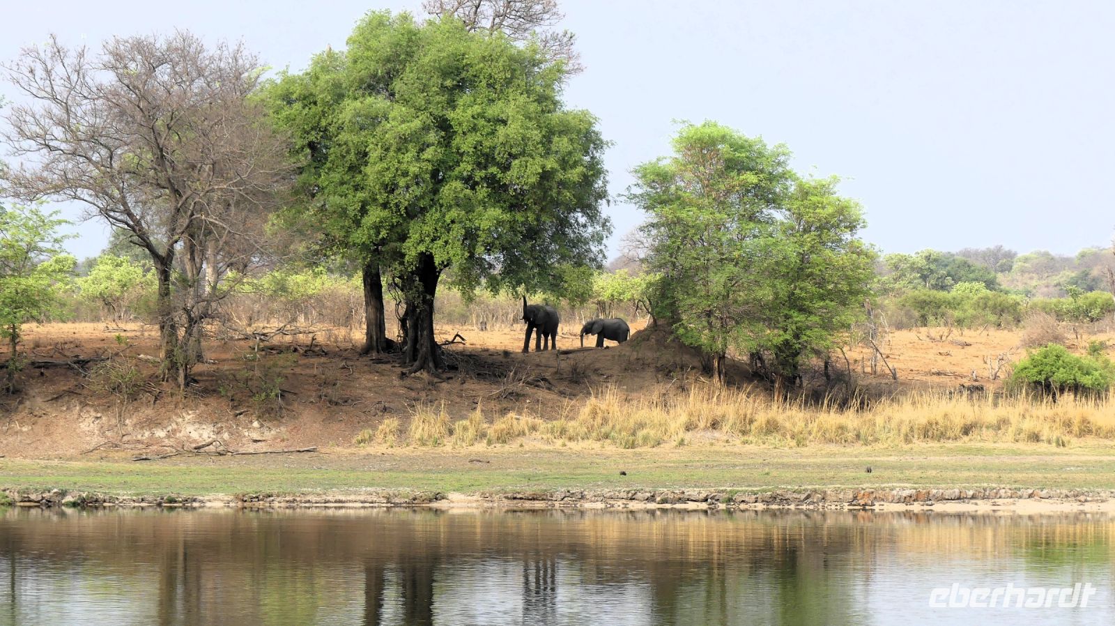 Namibia - Ndhovu Lodge - Frühstück mit Elefanten