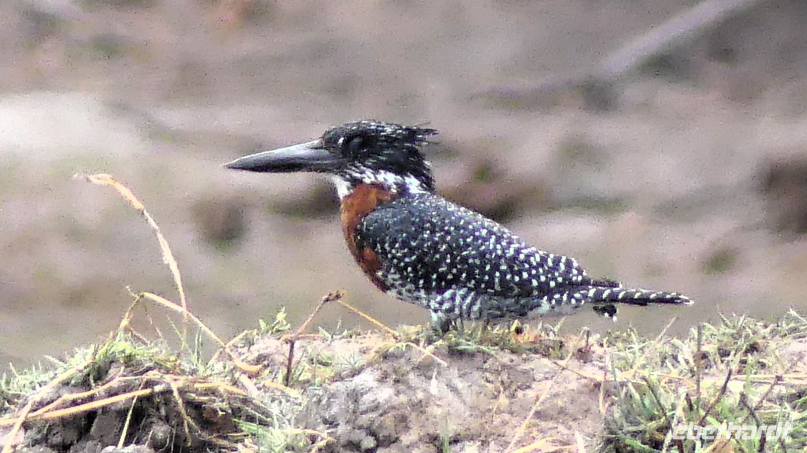 Namibia - Bootsfahrt auf dem Okavango