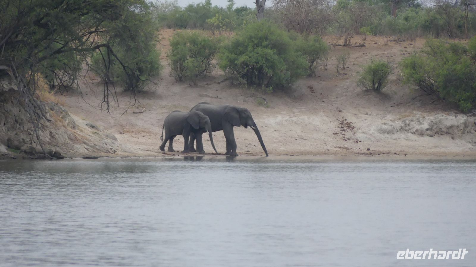 Namibia - Ndhovu Lodge - Frühstück mit Elefanten