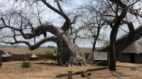 Namibia - Besuch im Culture Village