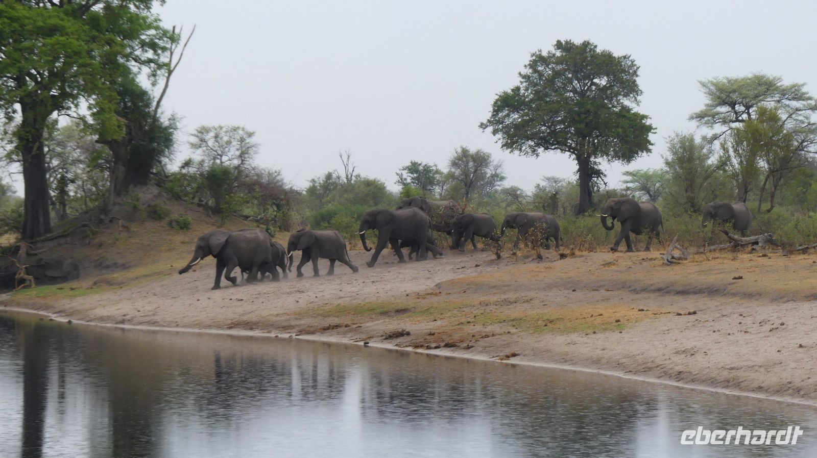 Namibia - Pirschfahrt im Mudumu Nationalpark - am Kwando