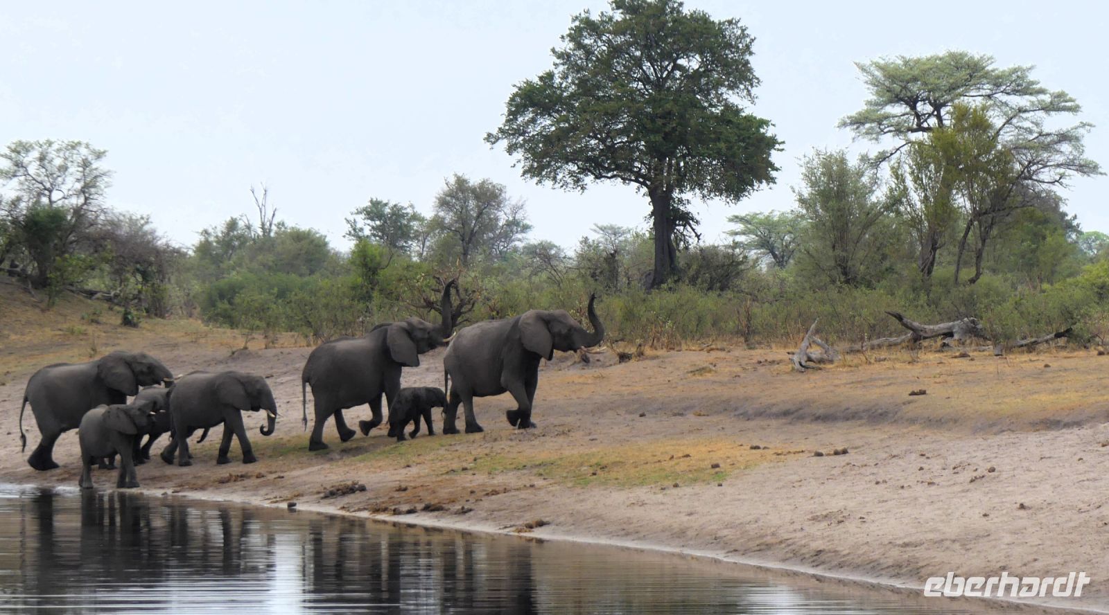 Namibia - Pirschfahrt im Mudumu Nationalpark - am Kwando