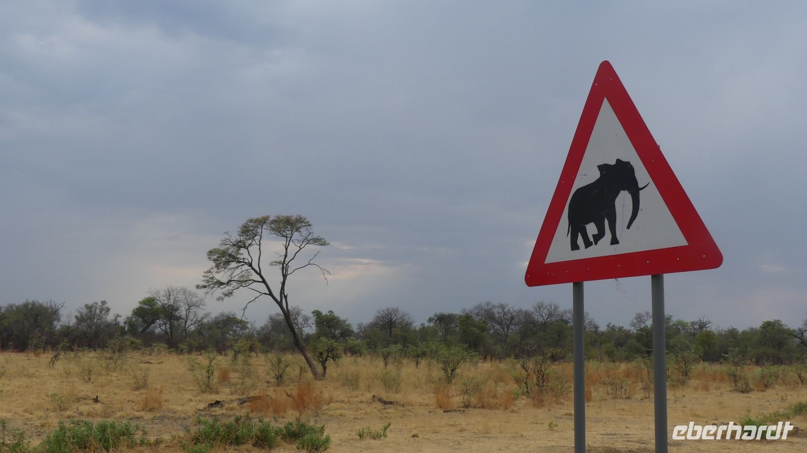 Namibia - Pirschfahrt im Mudumu Nationalpark
