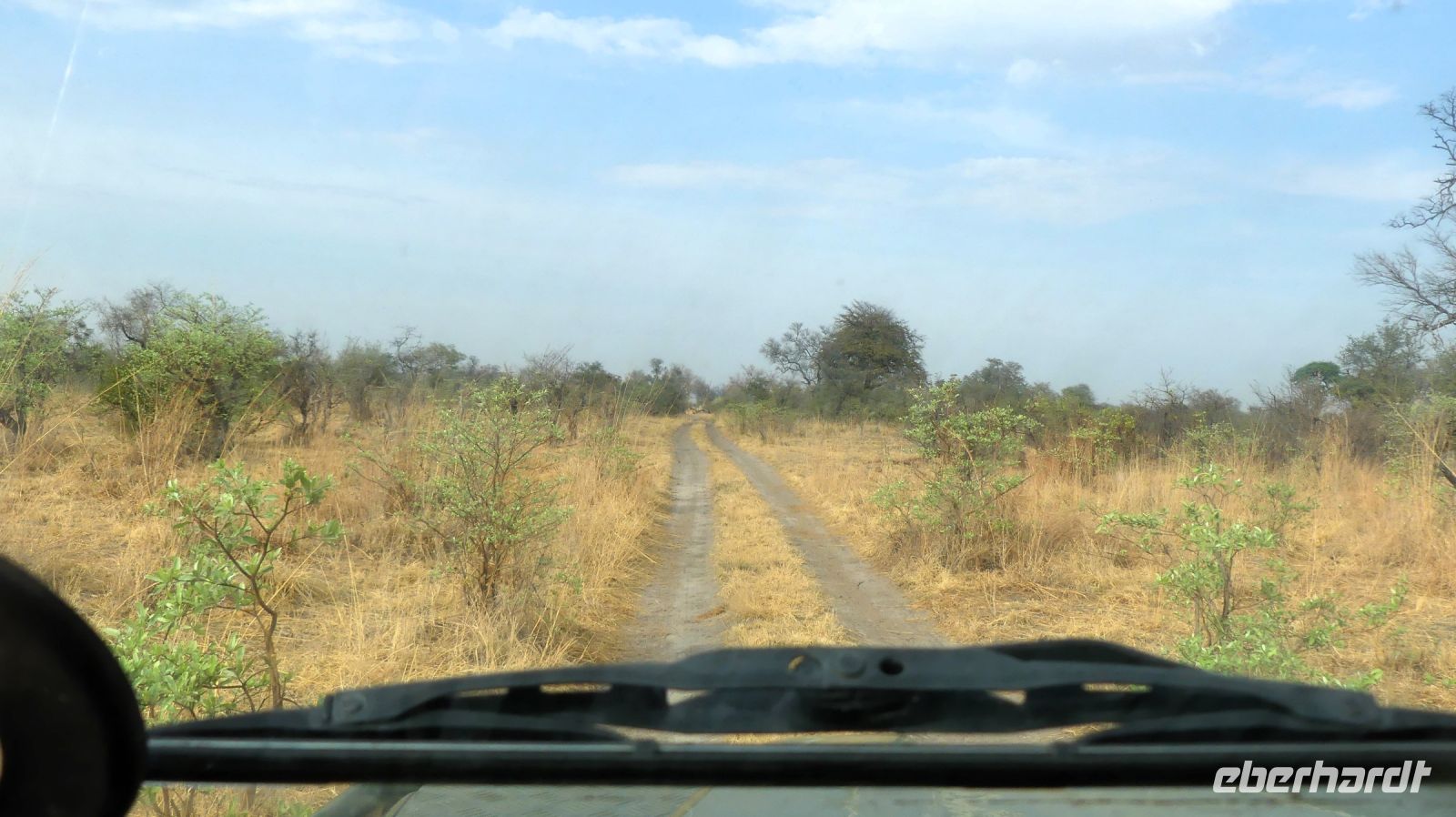 Namibia - Pirschfahrt im Mudumu Nationalpark