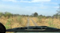 Namibia - Pirschfahrt im Mudumu Nationalpark