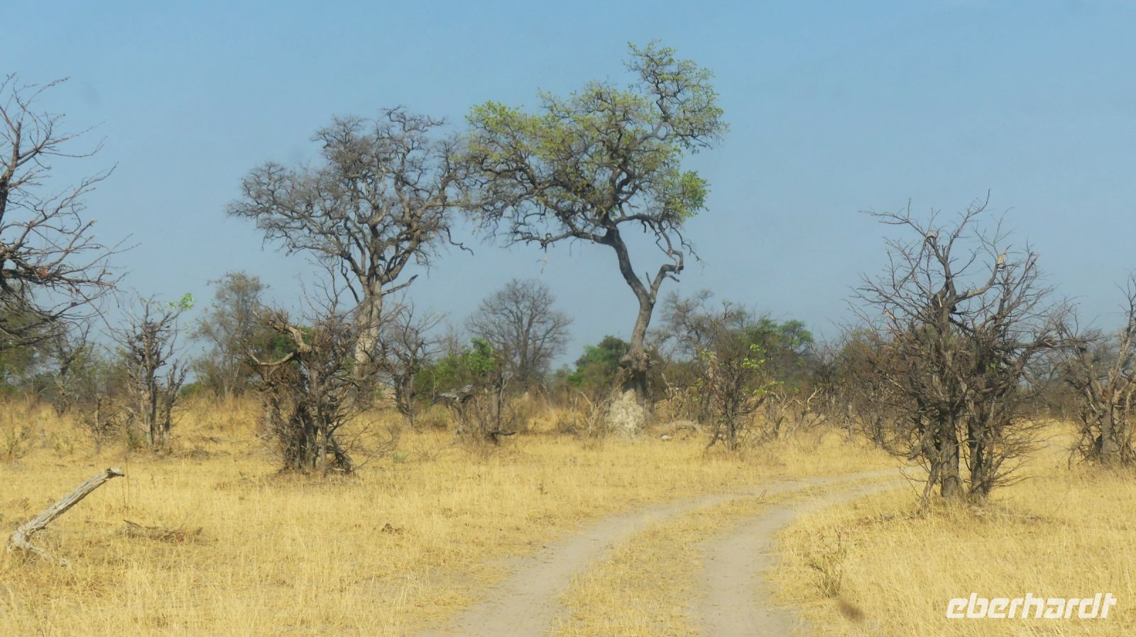 Namibia - Pirschfahrt im Mudumu Nationalpark