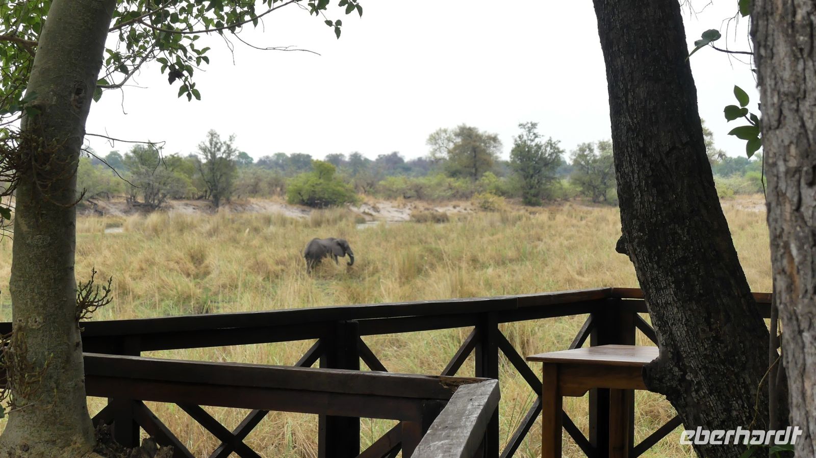 Namibia - Lianshulu Busch Lodge am Kwando - Frühstück mit Elefanten