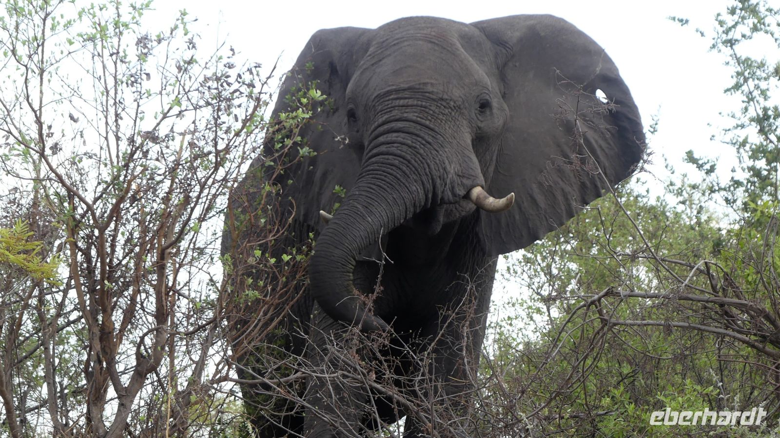 Namibia - Bootsfahrt auf dem Kwando
