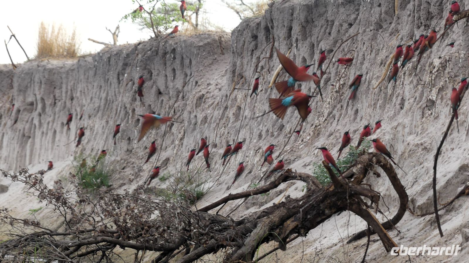 Namibia - Bootsfahrt auf dem Kwando