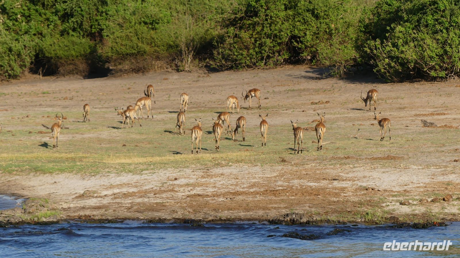 Botswana - Bootsfahrt auf dem Chobe
