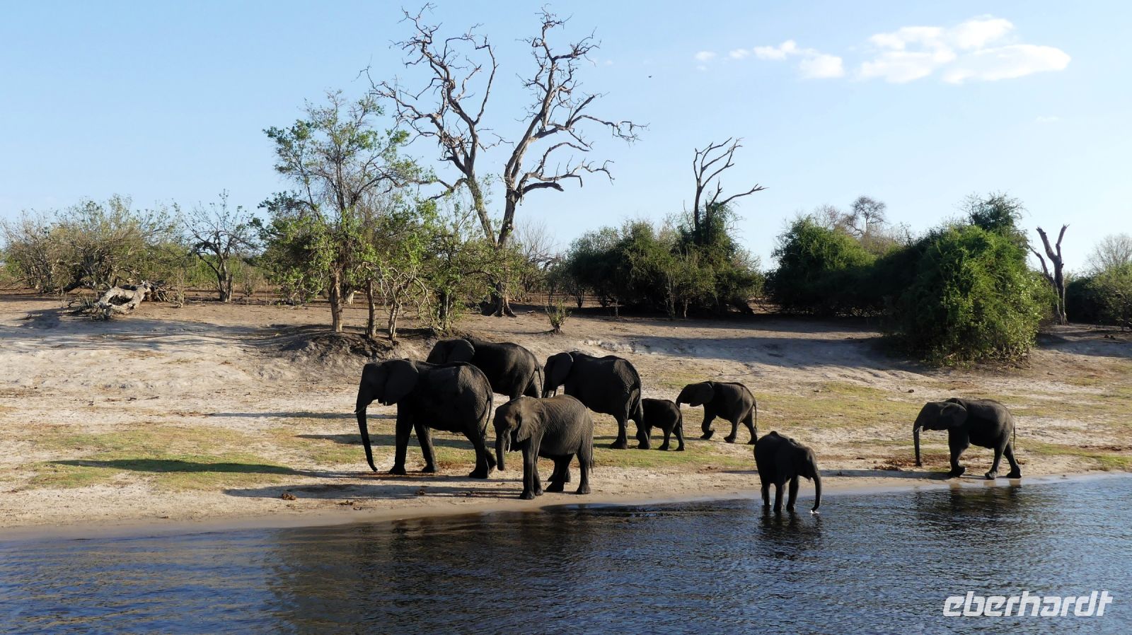 Botswana - Bootsfahrt auf dem Chobe
