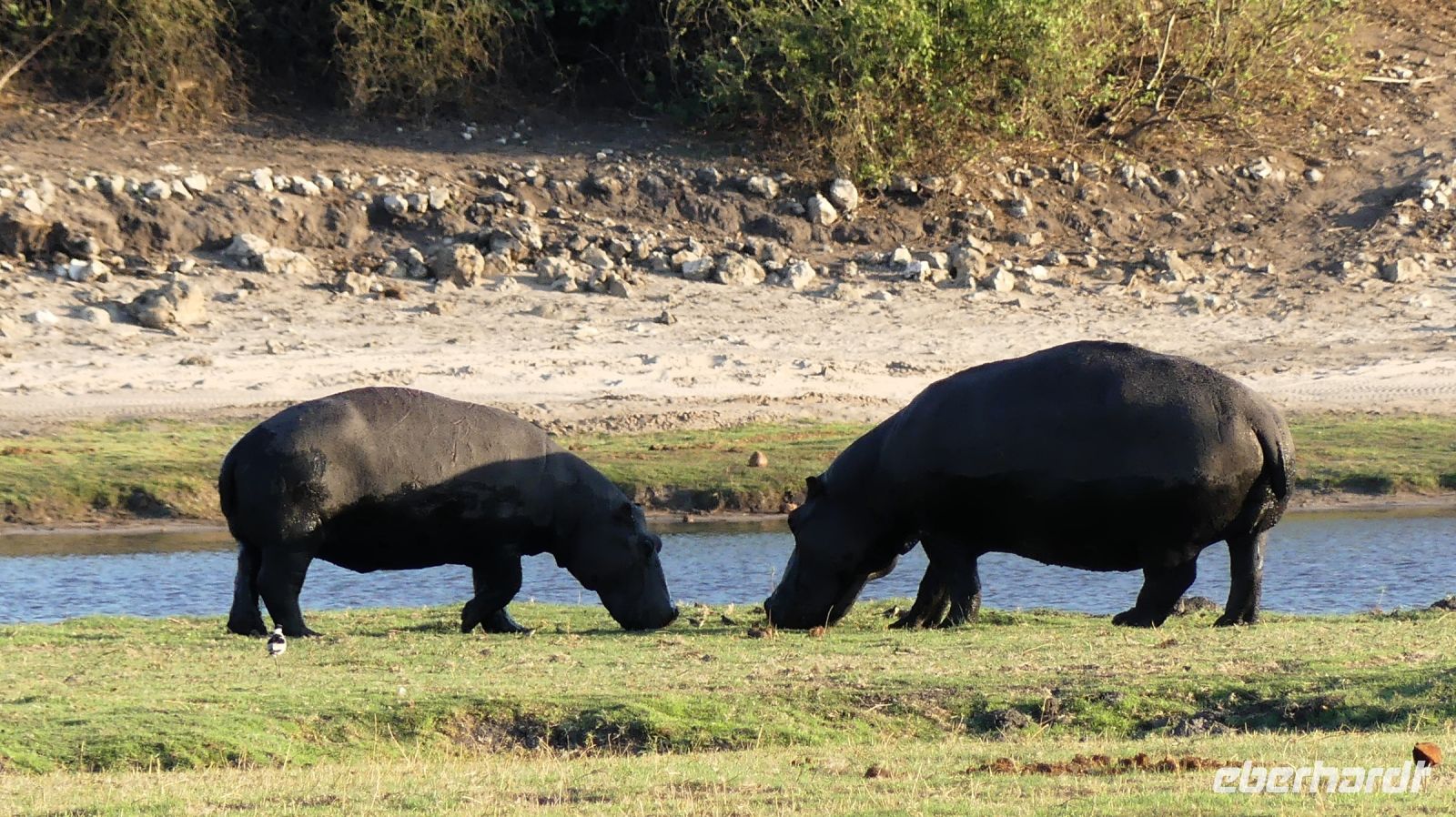 Botswana - Bootsfahrt auf dem Chobe