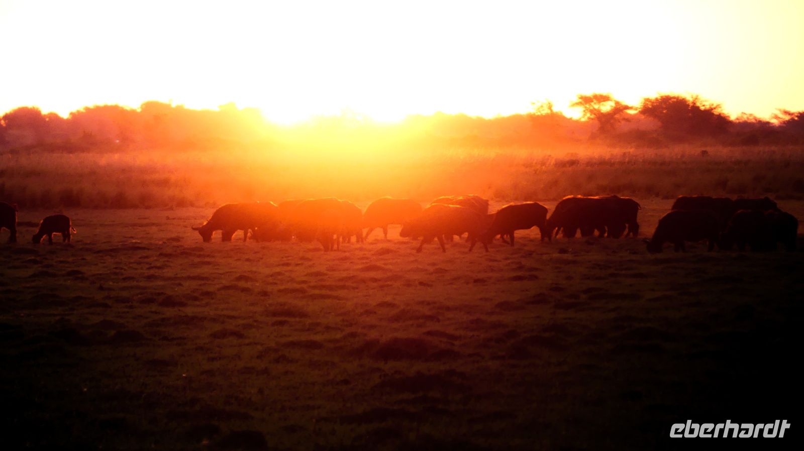 Botswana - Bootsfahrt auf dem Chobe - Sundowner