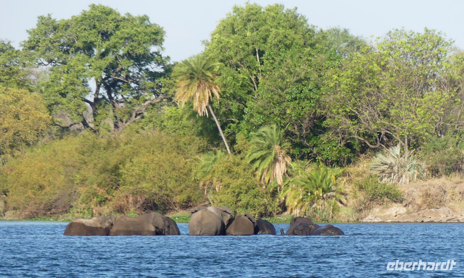 Simbabwe - Bootsfahrt auf dem Sambesi