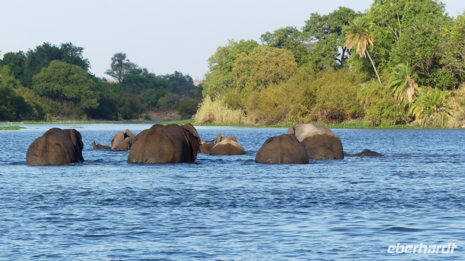 Simbabwe - Bootsfahrt auf dem Sambesi