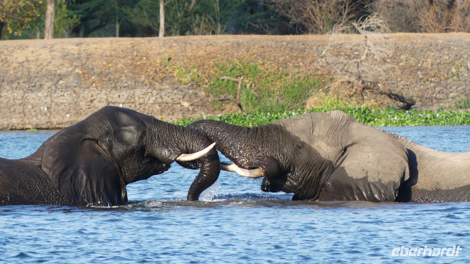 Simbabwe - Bootsfahrt auf dem Sambesi