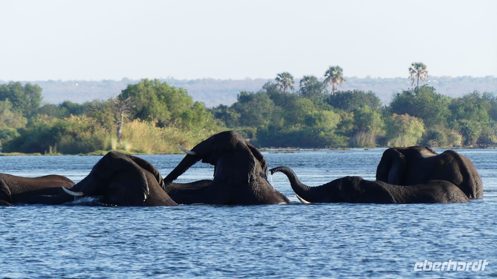 Simbabwe - Bootsfahrt auf dem Sambesi