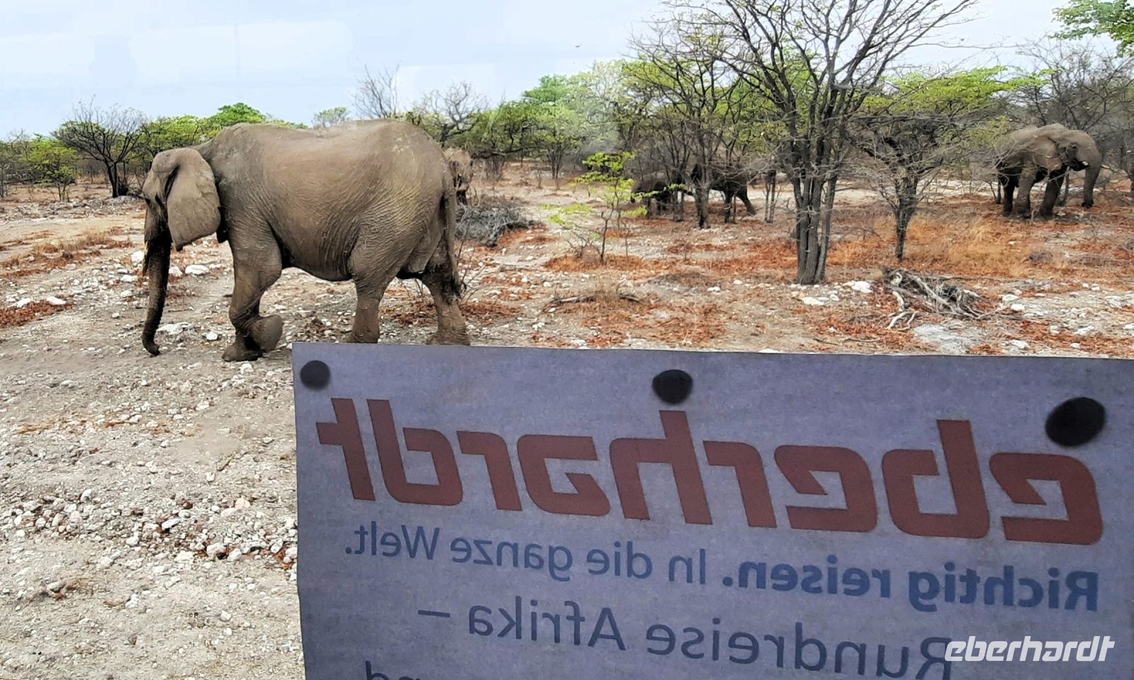 Namibia - Etosha Nationalpark