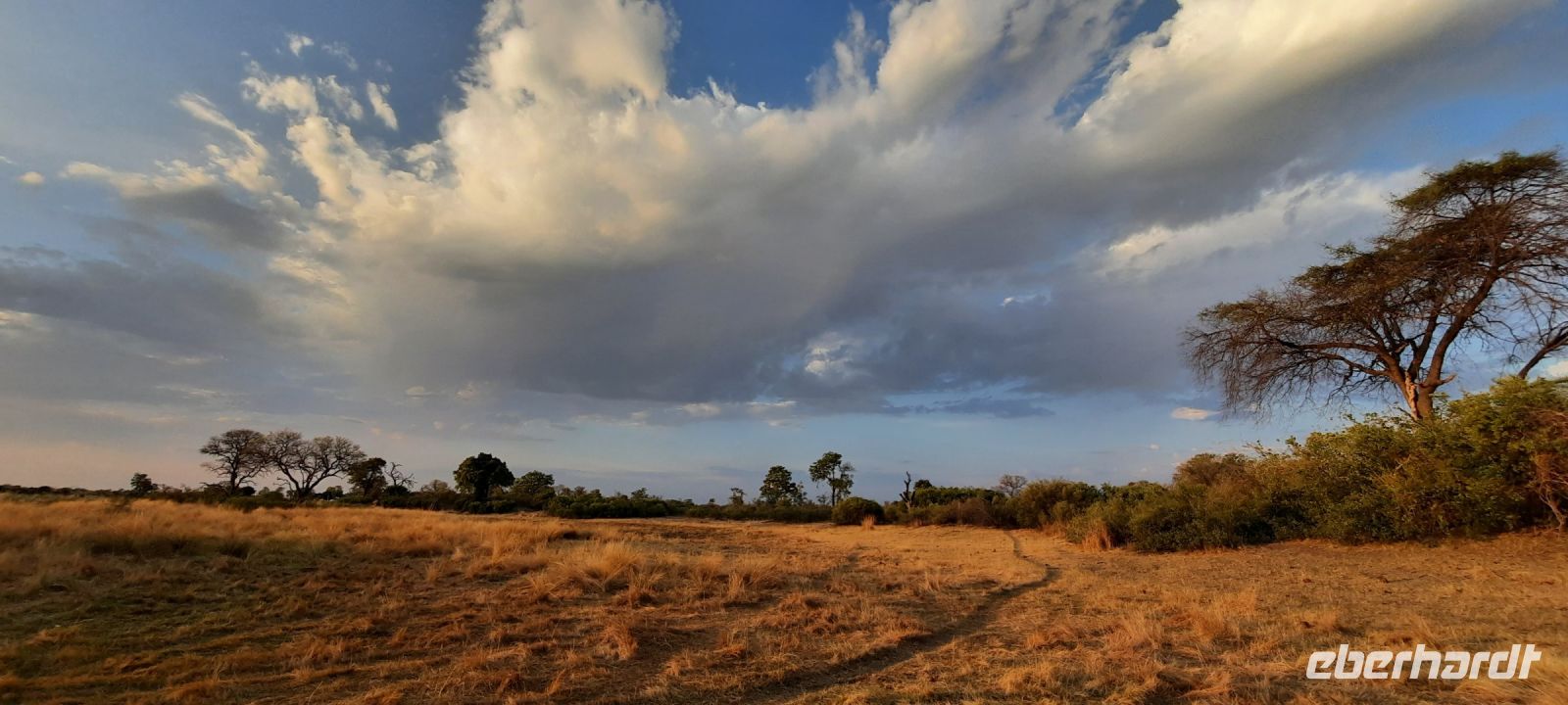 Namibia - Bootsfahrt auf dem Kwando