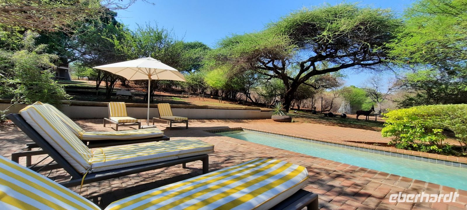 Botswana - Chobe Bush Lodge - Kasane