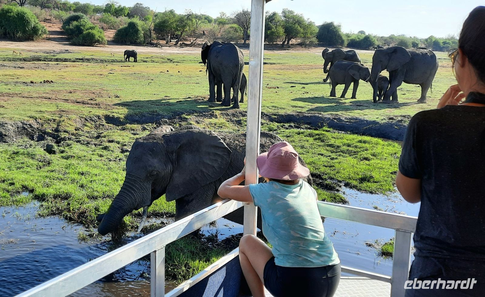 Botswana - Bootsfahrt auf dem Chobe