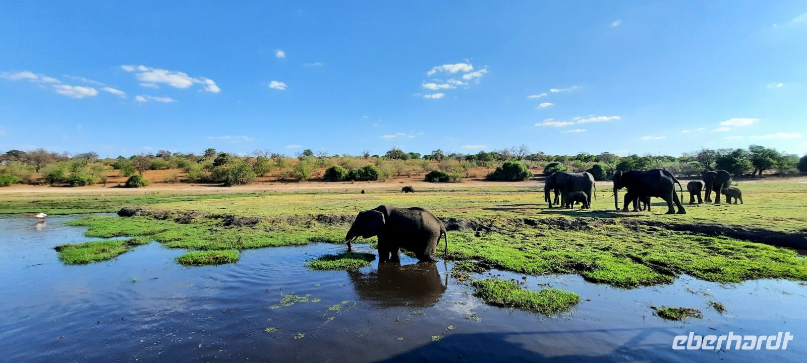 Botswana - Bootsfahrt auf dem Chobe