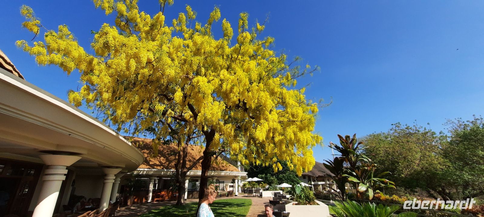 Simbabwe- Iala Lodge Vic Falls