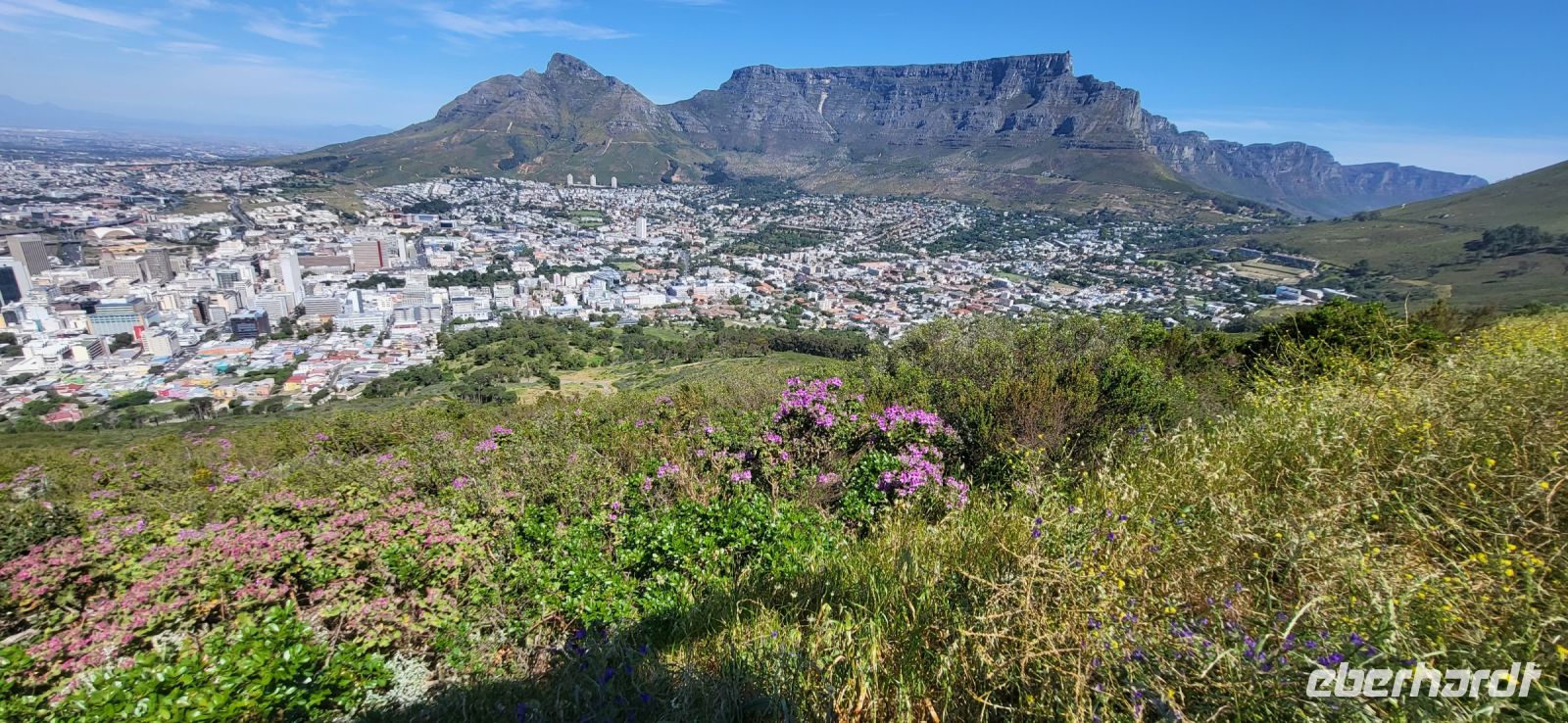 10 Blick vom Signal Hill