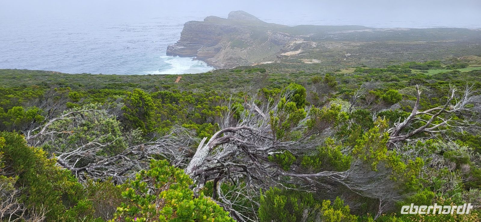31 Kap der guten Hoffnung