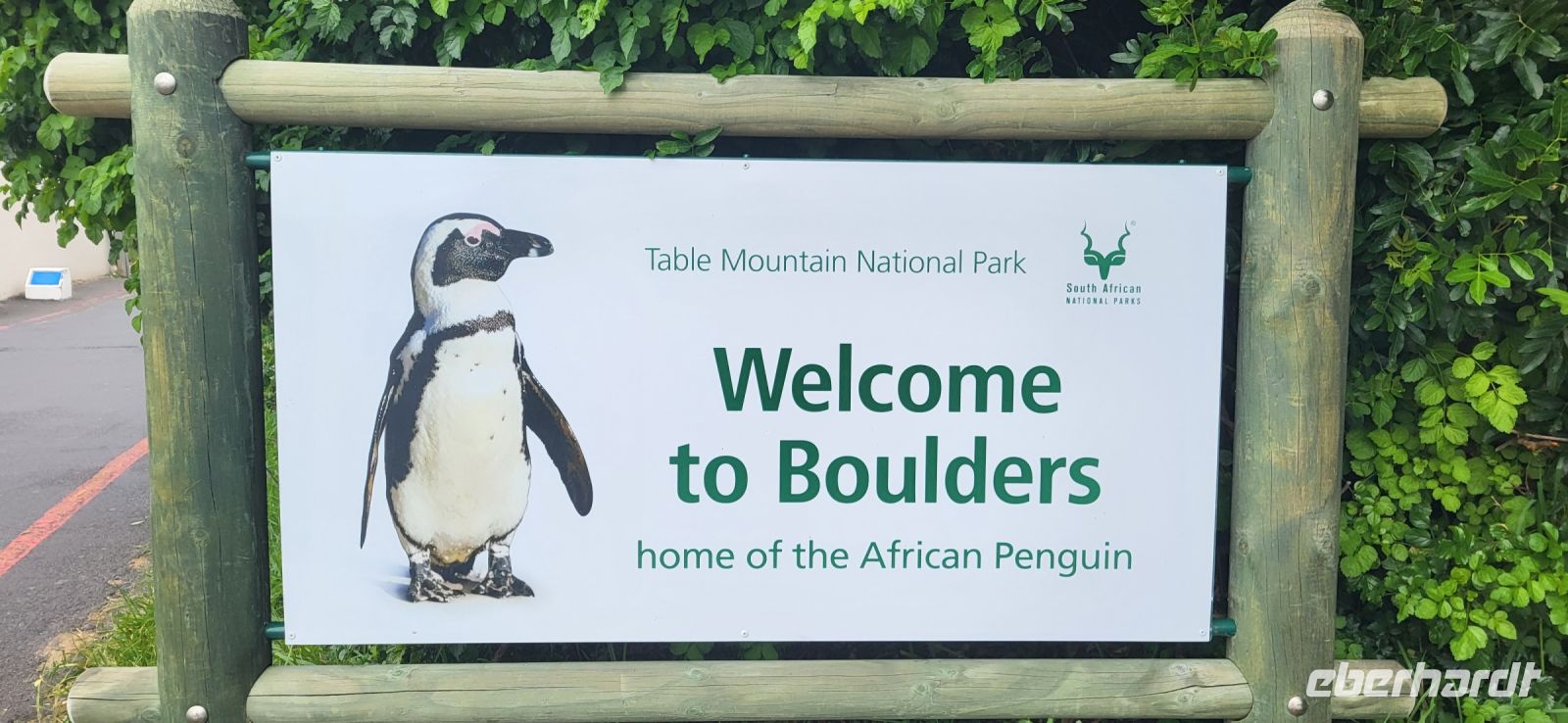35 Pinguine am  Boulders Beach