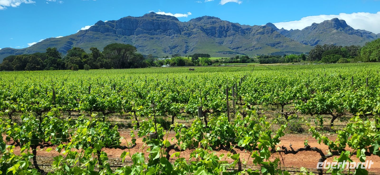 52  weiter entlang des Western Capes 