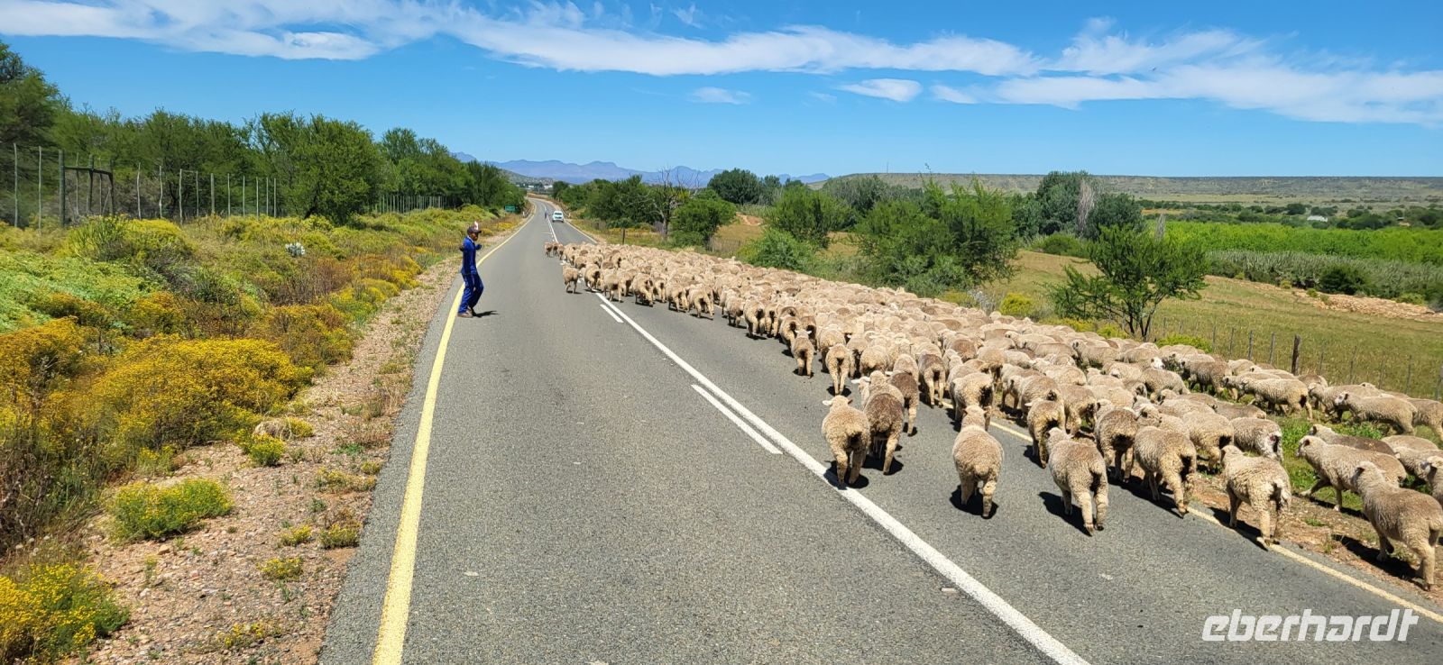 98 Weg versperrt zur Straußenfarm