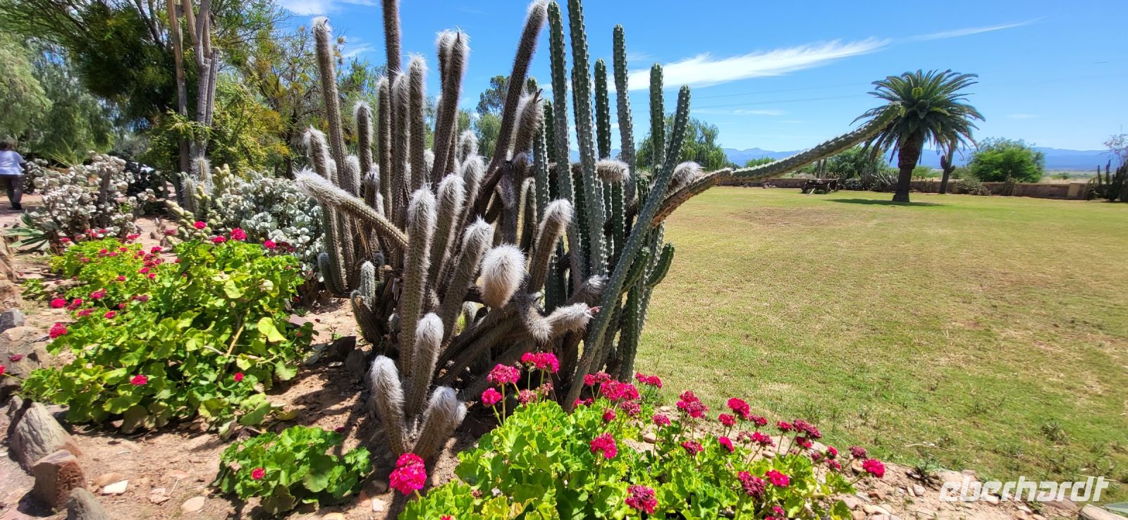 100 Highgate Straußenfarm