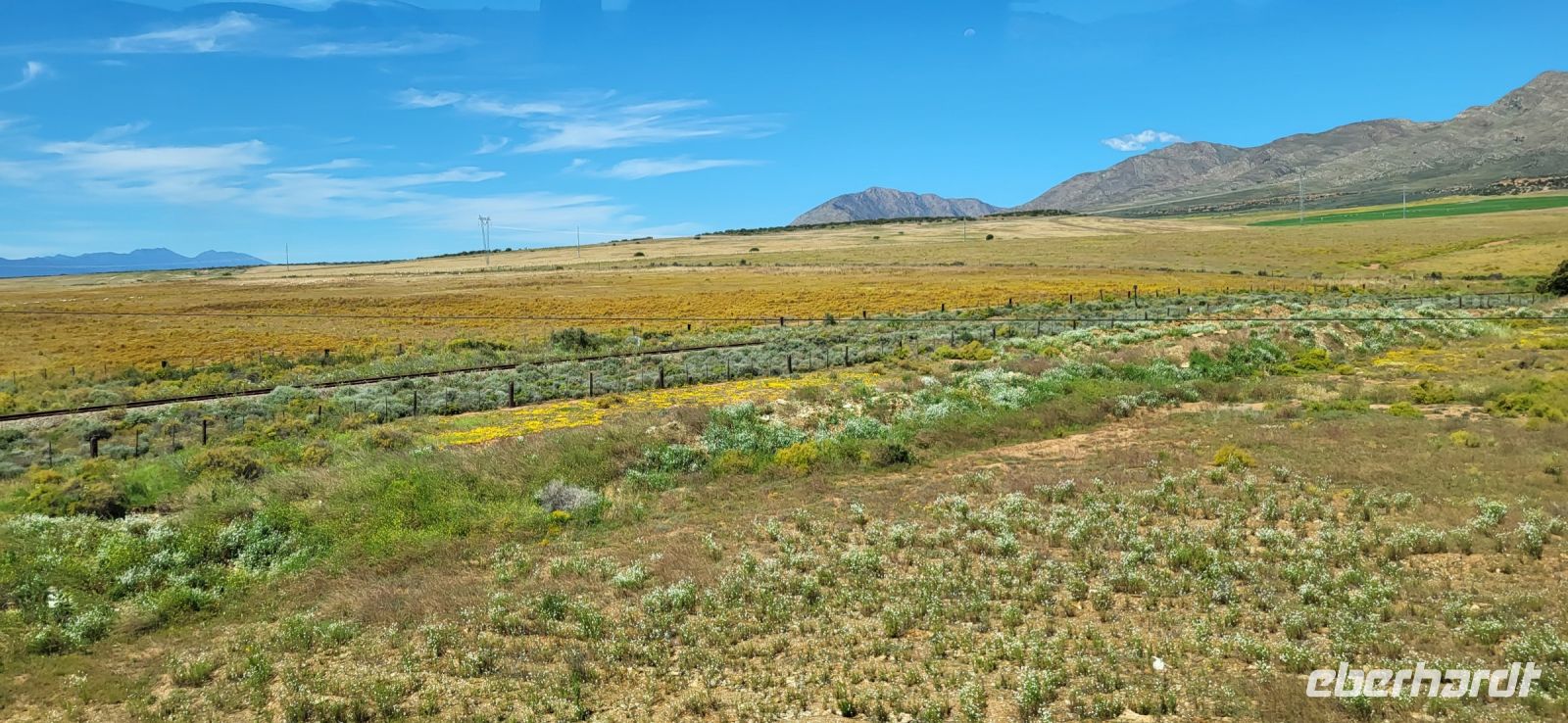 106 unterwegs nach Knysna