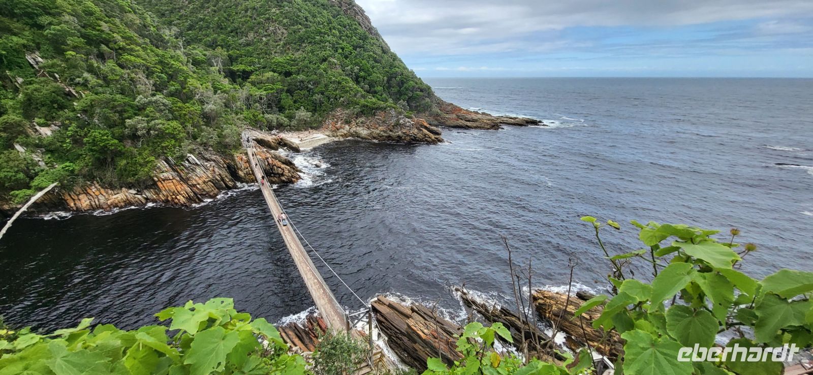 114 Hängebrücke Tsitsikamma