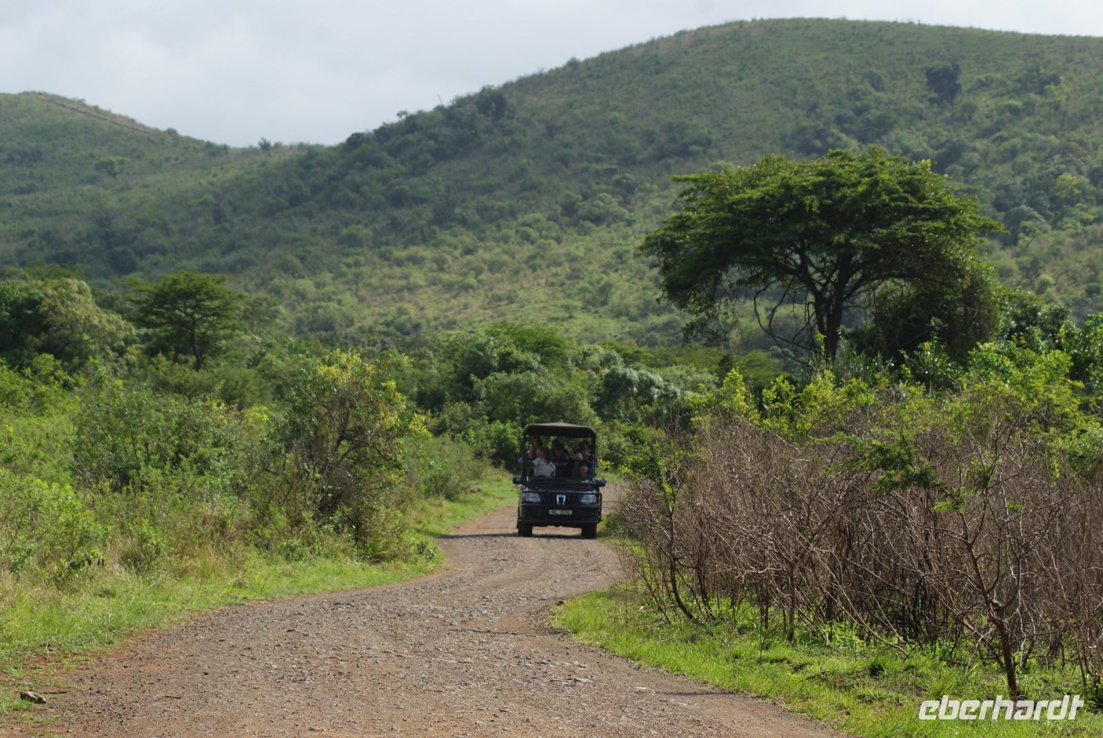 128 Safari im Hluhluwe Nationalpark