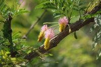 130  im Hluhluwe Nationalpark9