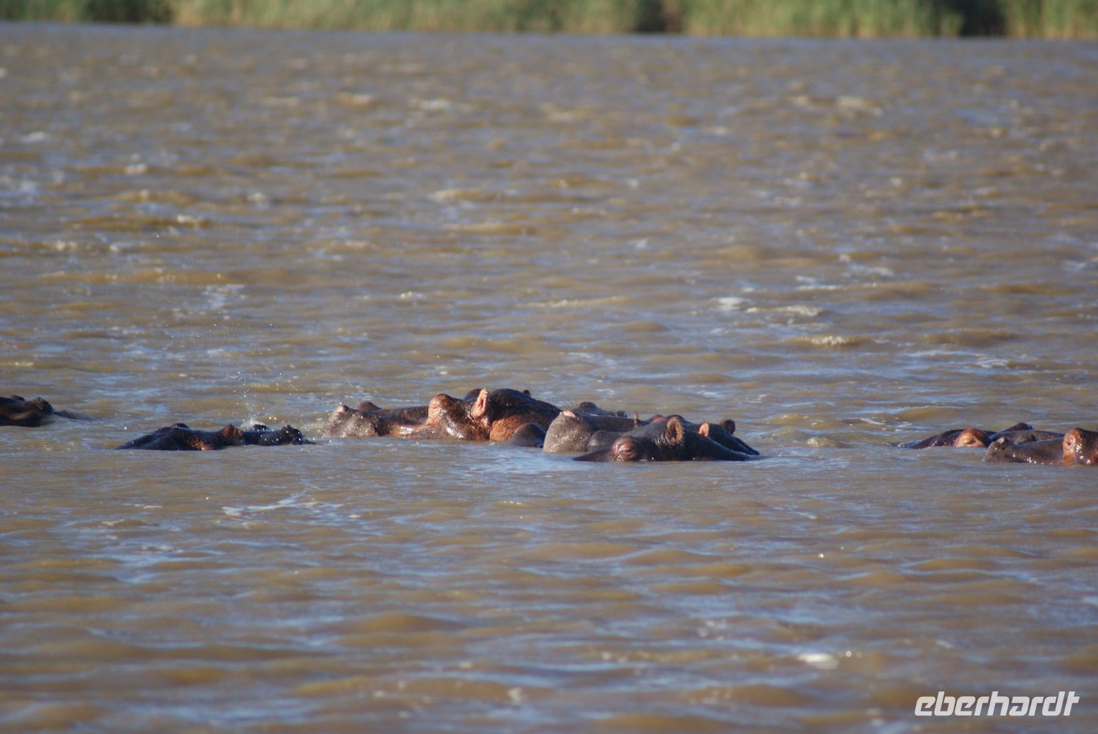 146 Bootstour St. Lucia Seeausläufer