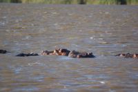 146 Bootstour St. Lucia Seeausläufer